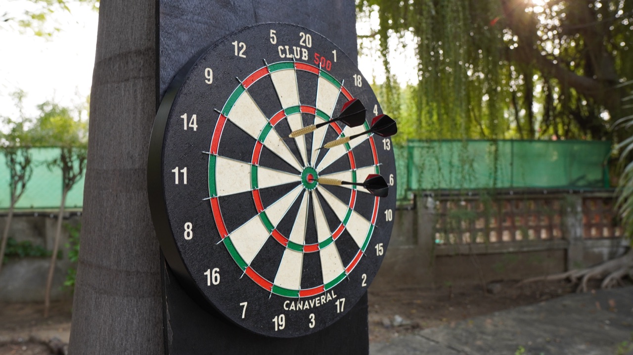 Canaveral tournament dartboard mounted on tree