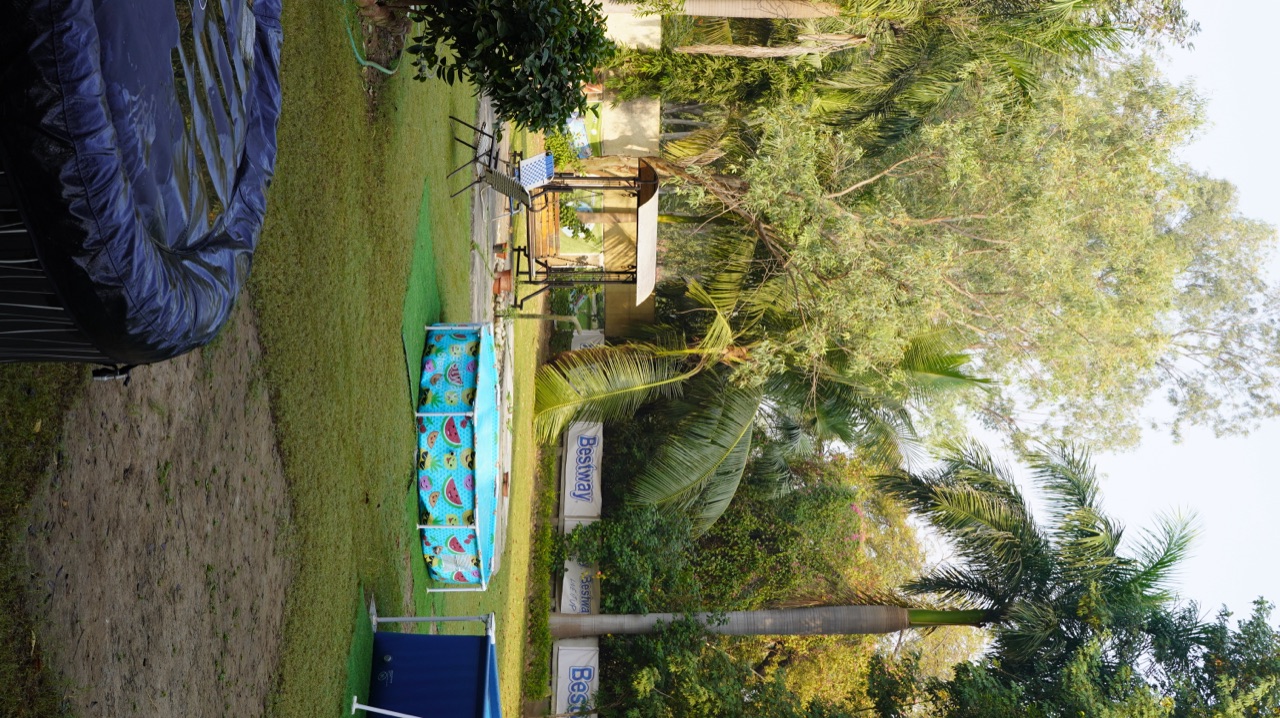 Sanctuary grounds where peacocks roam freely